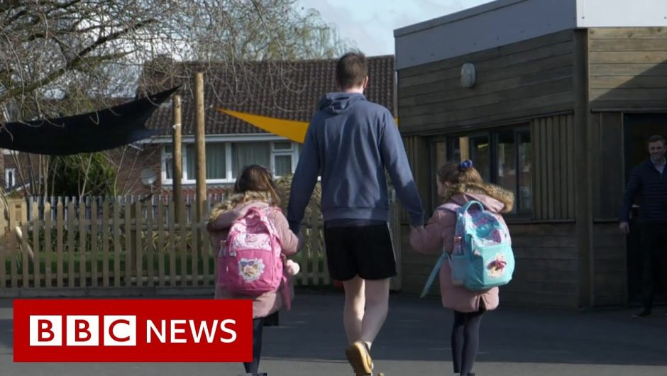 Coronavirus: UK restrictions could last a year – BBC News