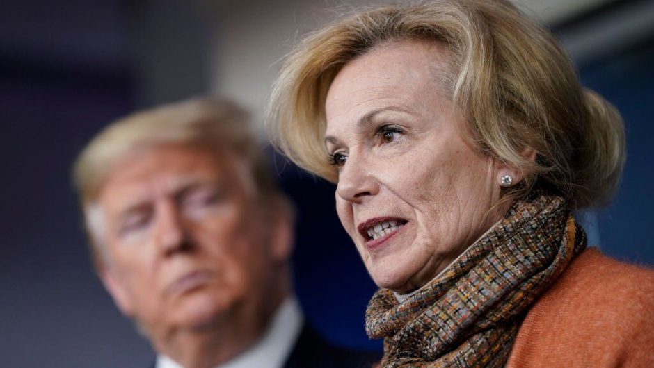 ‘When He Gets New Information, He Likes To Talk That Through Out Loud,’ Dr. Birx Says of Trump’s Comments on Ultraviolet Light, Disinfectants as COVID-19 Treatments
