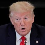 New York reportedly paid $69 million for ventilators to an engineer with no background in medical supplies at the recommendation of the White House coronavirus task force