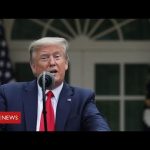 Coronavirus:  Donald Trump "to suspend all immigration" during pandemic – BBC News