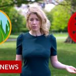 Hay fever or coronavirus: The symptoms compared – BBC News