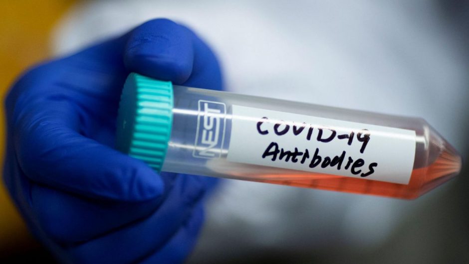 A coronavirus antibody test that is more than 99% accurate is now cleared for emergency use in the US, easing concerns of false positives that hindered earlier tests