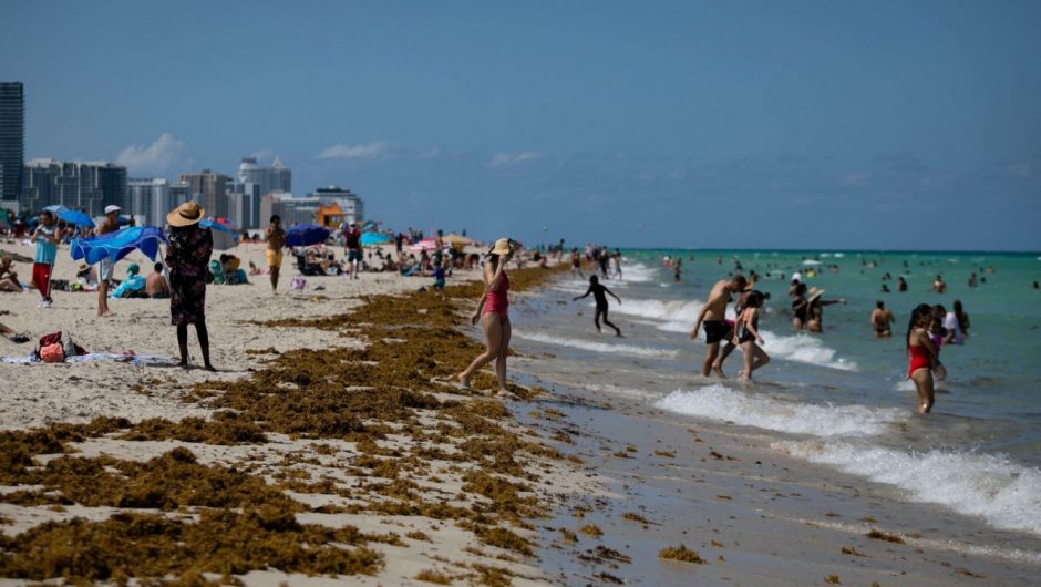 Florida reports record of more than 4,000 new COVID-19 cases