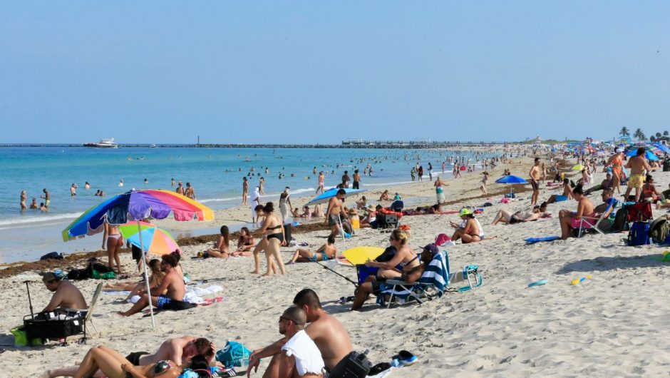 Florida’s daily coronavirus cases have more than quadrupled since reopening