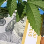 Coronavirus closures help DEA seize millions from drug traffickers