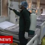 Coronavirus in Egypt: 'The supervising doctor has tested positive' – BBC News