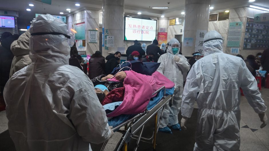 Global COVID-19 cases surge past 20 million with over 737K deaths