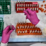 How to feel confident that a COVID-19 vaccine is safe