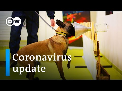 Cases surge in Brazil +++ Can dogs sniff out COVID-19? | Coronavirus update