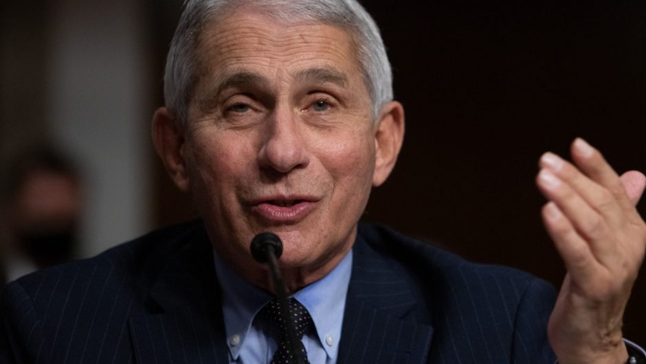 Fauci says Americans should ‘double down’ on COVID-19 precautions as we reach the final stretch before the first vaccines