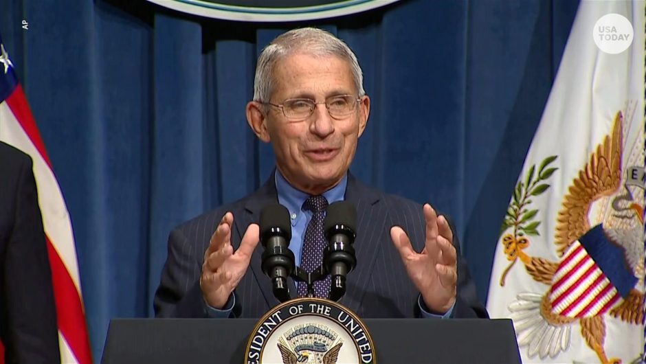 Joe Biden asks Anthony Fauci, the federal coronavirus expert, to become his chief medical adviser