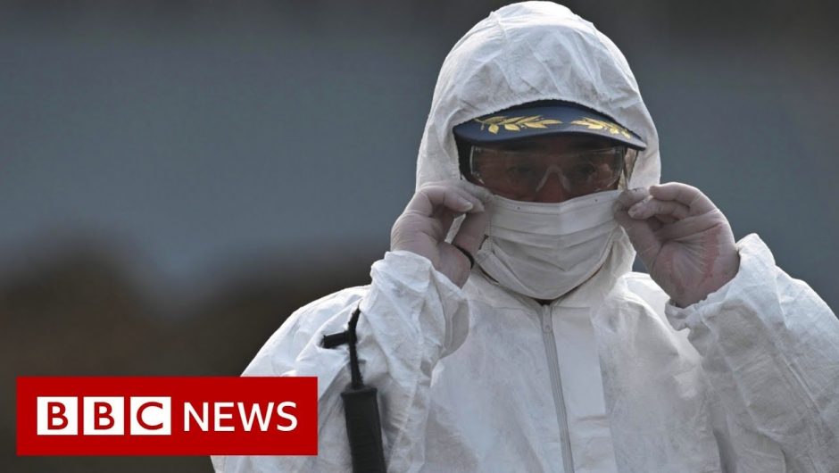 Coronavirus: China expels reporters for article it deemed racist – BBC News
