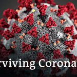 What happens when you're infected with the COVID-19 coronavirus? | DW News