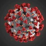 Seven new highly-contagious COVID-19 variants found across US