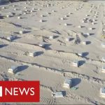 Iraq builds mass grave in the desert as coronavirus deaths surge – BBC News