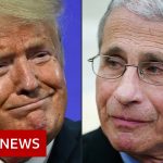 Coronavirus: White House targets US disease chief Dr Anthony Fauci – BBC News