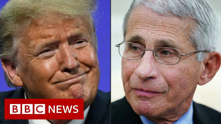 Coronavirus: White House targets US disease chief Dr Anthony Fauci – BBC News