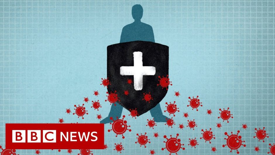 Coronavirus: Immunity explained – BBC News