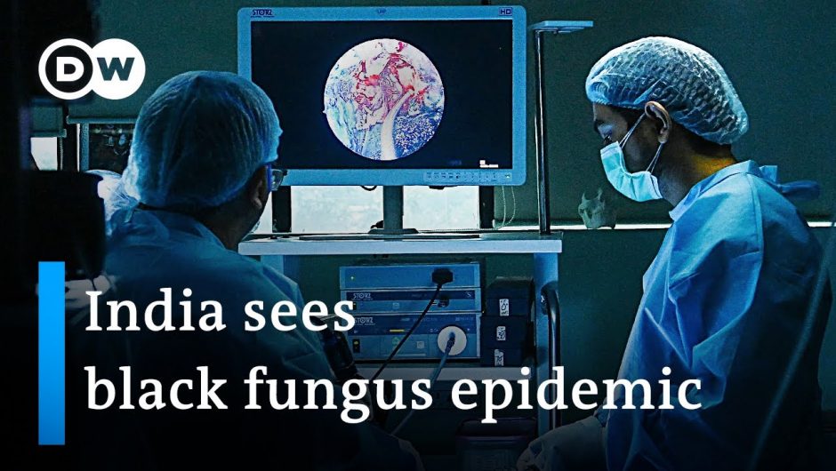 Why the deadly black fungus is ravaging COVID patients in India | DW News