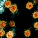 ‘Delta’ coronavirus variant first found in India reaches US. Here’s what to know