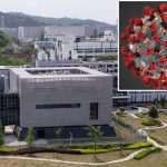 ‘Damning’ science shows COVID-19 likely engineered in lab