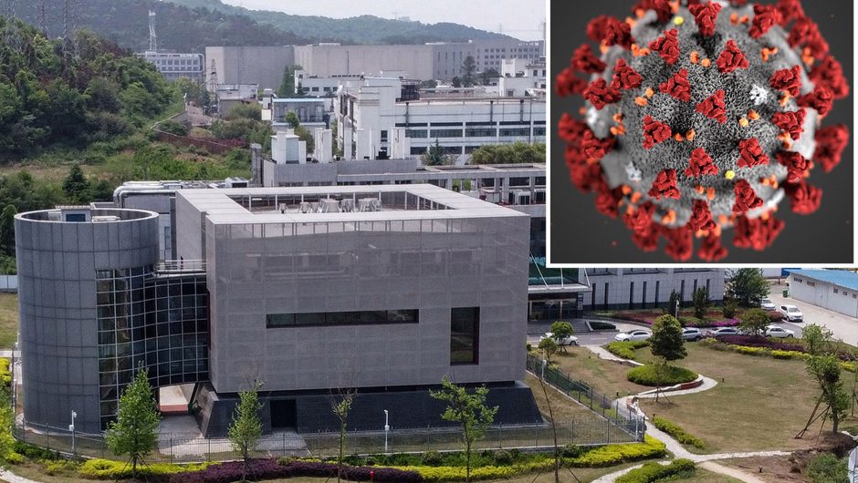 ‘Damning’ science shows COVID-19 likely engineered in lab