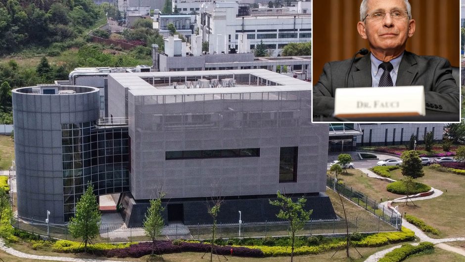 Fauci warned officials in 2020 that COVID-19 could be lab leak