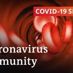 How long does immunity against the coronavirus last? | COVID-19 Special