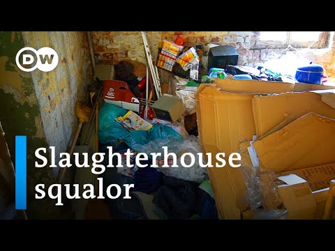 Coronavirus outbreak in German meat plant reveals appalling living conditions | DW News