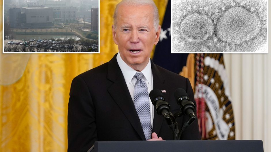 Biden signs bill to declassify info on COVID-19 origins 
