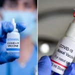 COVID-19 nasal spray shows strong immune response in study