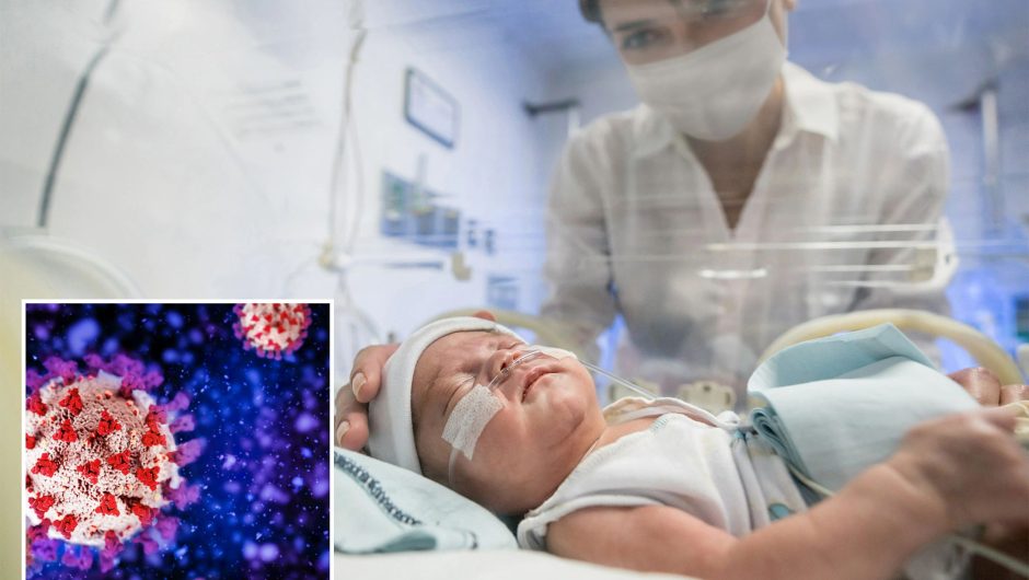 2 babies born brain-damaged after moms got COVID-19 during pregnancy: study