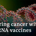 Could COVID vaccine technology cure cancer? | DW News