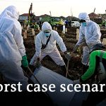 Indonesia's COVID-19 surge: Could it get as bad as in India? | DW News