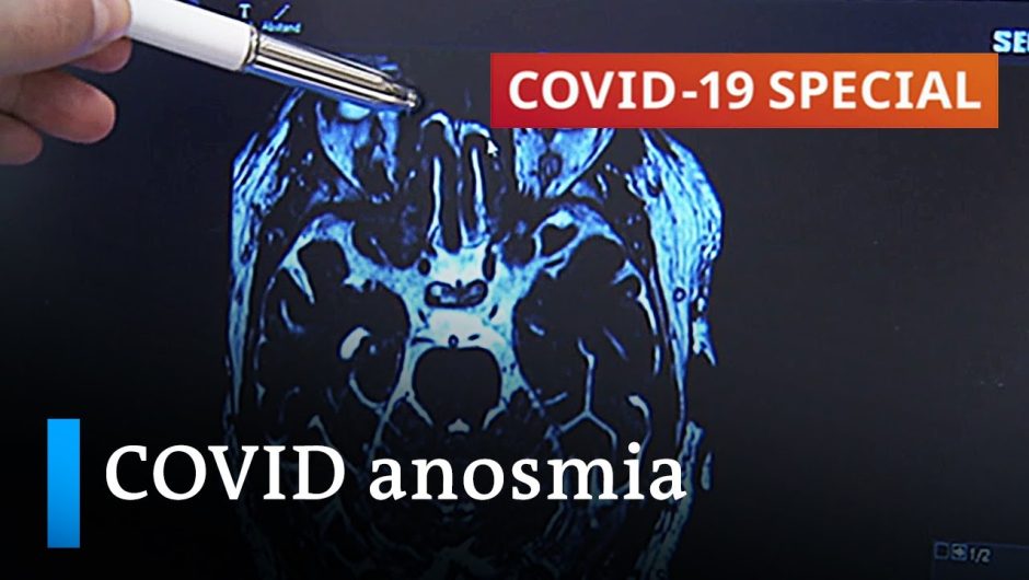 Latest research: Long-covid and the loss of smell | COVID-19 Special