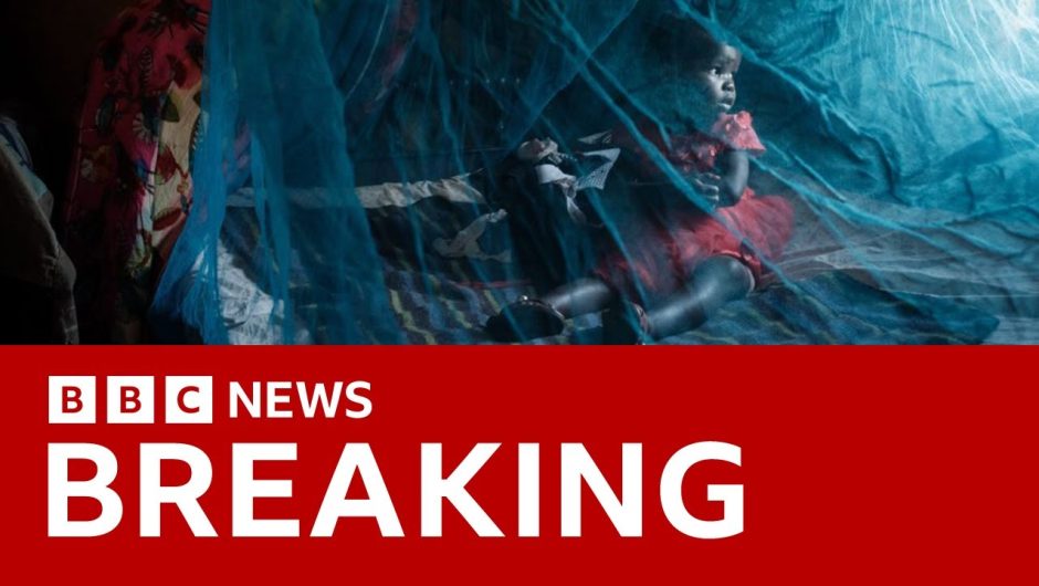 Malaria vaccine breakthrough: New cheap, option backed by WHO – BBC News