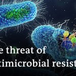 5 million annual deaths: Why antimicrobial resistance is a global public health threat | DW News