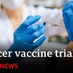 Thousands of cancer patients to trial personalised vaccines in England | BBC News