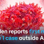 Mpox virus moves to Sweden as DRC remains most impacted | DW News