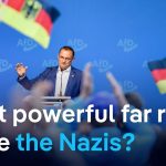 How Jewish groups warn against Germany’s far-right AfD ahead of elections | DW News