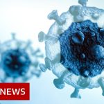 Omicron Covid variant spreads 'more than twice as fast' as Delta – BBC News